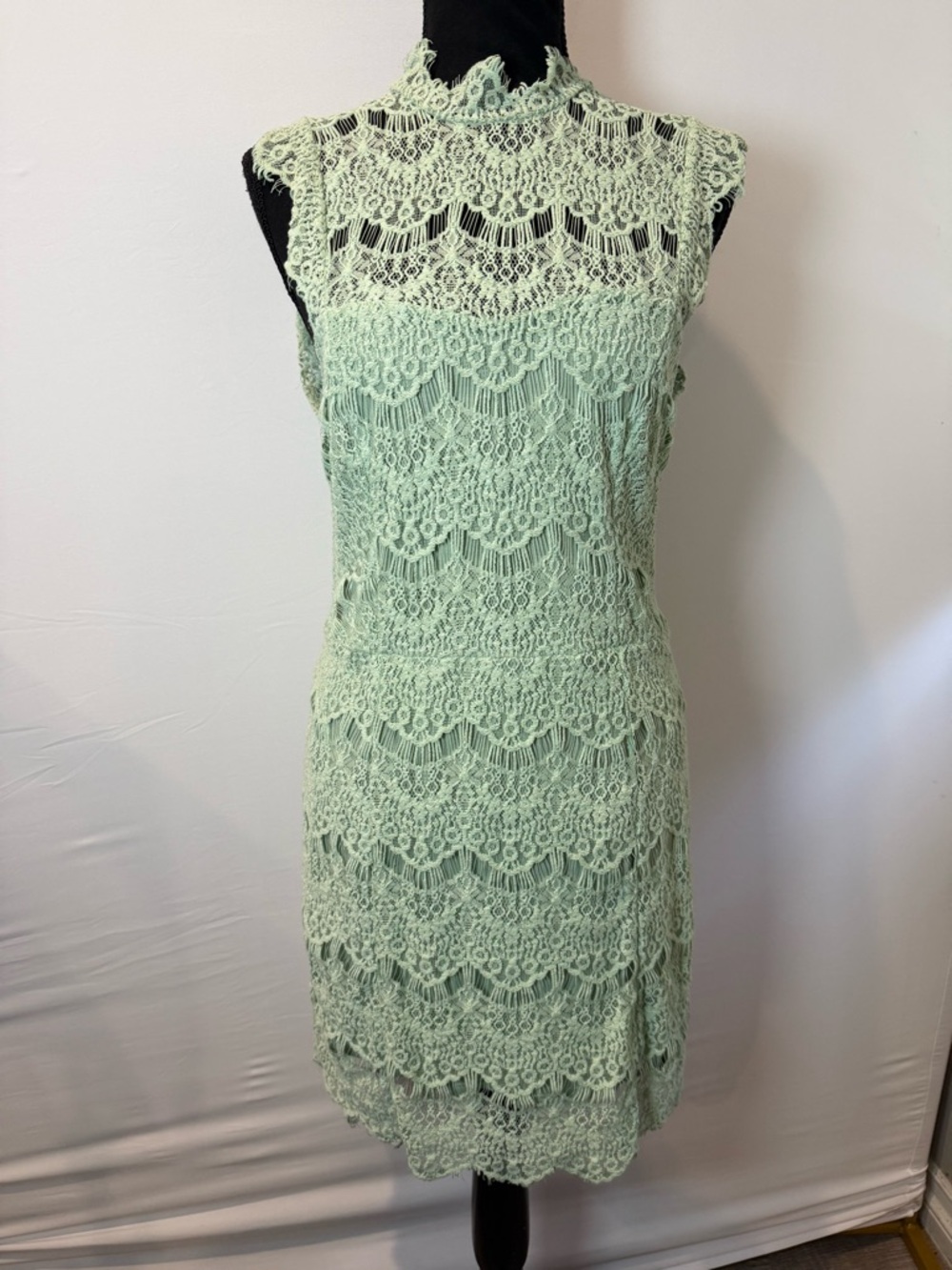 Free People Daydream Lace Bodycon - Picture 2 of 5